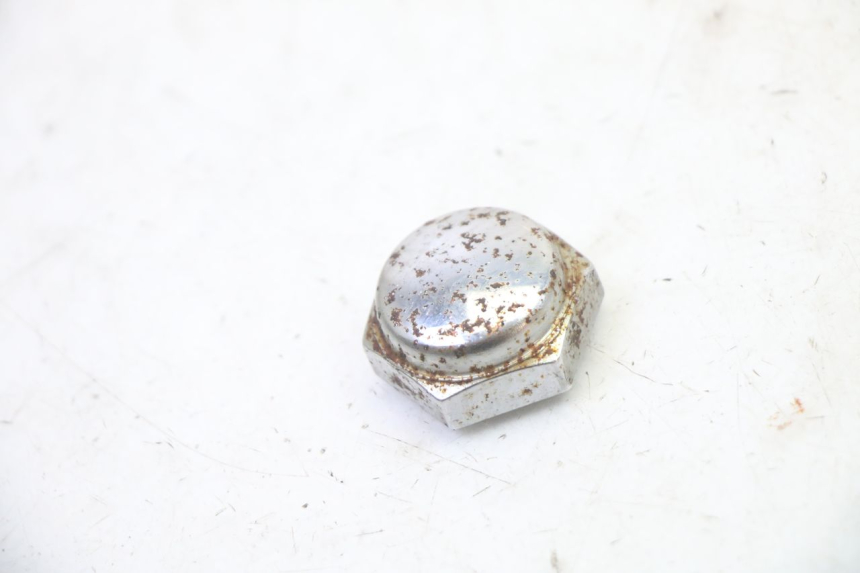 photo de FORK CROWN NUT TRIUMPH SPRINT 900 (1995 - 1998)