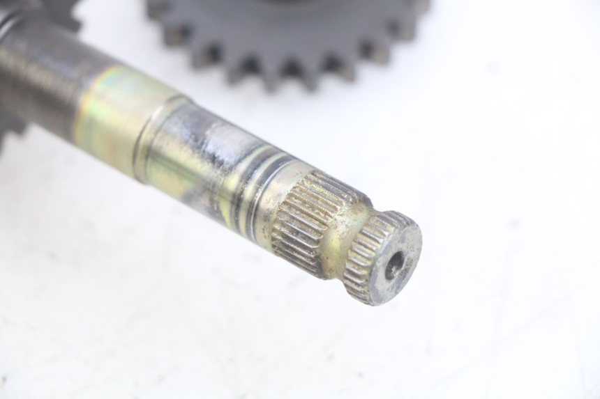 photo de KICK SHAFT YCF PILOT 125