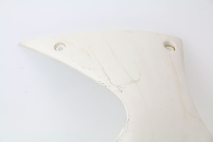 photo de RIGHT BELLY PANEL PEUGEOT JET FORCE CARBU 50 (2003 - 2016)