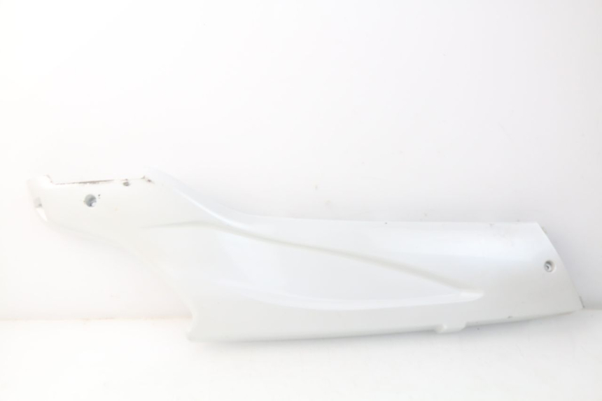 photo de RIGHT LOWER SIDE PANEL DAELIM S3 125 (2010 - 2017)