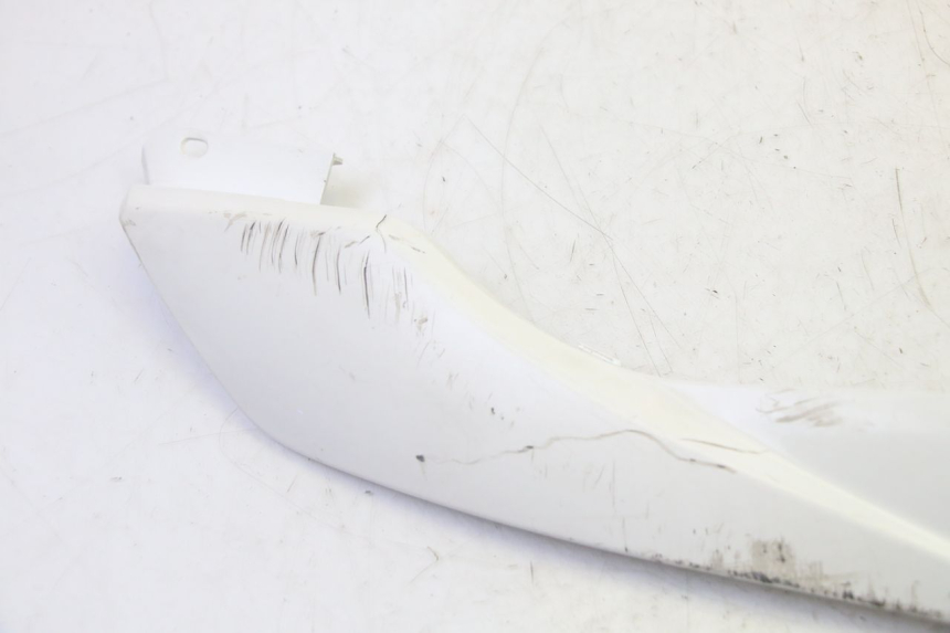 photo de RIGHT BELLY PANEL PEUGEOT TWEET PRO EFI 4T 50 (2021 - 2022)