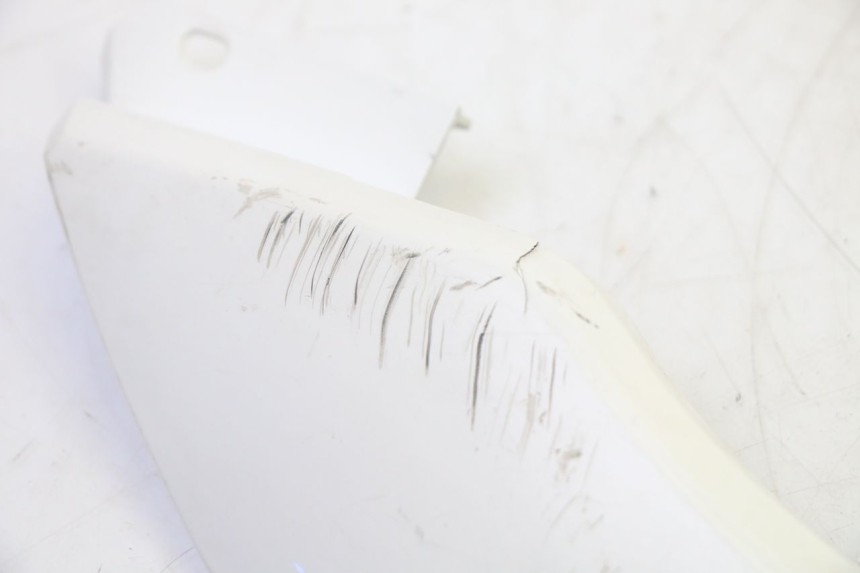 photo de RIGHT BELLY PANEL PEUGEOT TWEET PRO EFI 4T 50 (2021 - 2022)