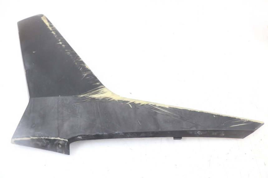 photo de LEFT BELLY PANEL LONGJIA EASY MAX 125 (2020 - 2024)