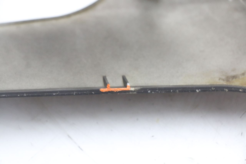 photo de LEFT BELLY PANEL LONGJIA EASY MAX 125 (2020 - 2024)