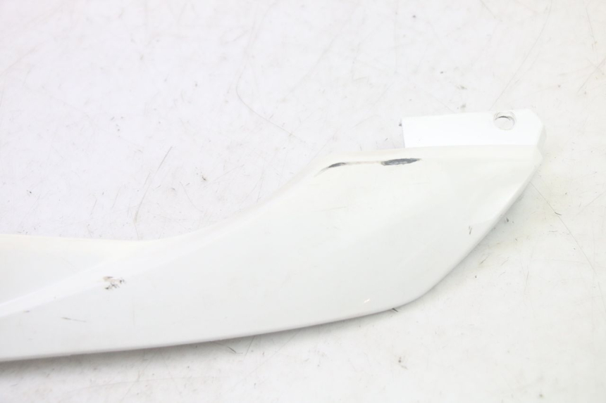 photo de LEFT BELLY PANEL PEUGEOT TWEET PRO EFI 4T 50 (2021 - 2022)