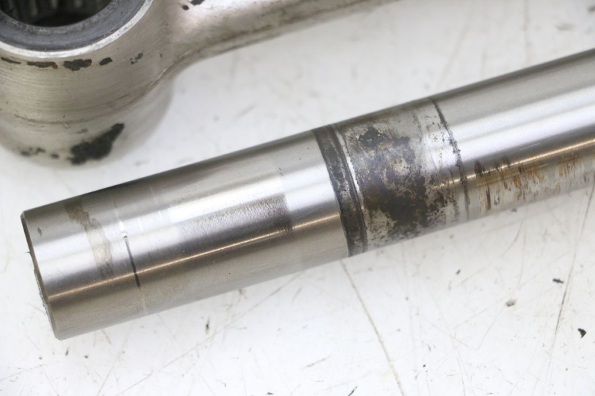 photo de SHOCK LINK TRIUMPH SPRINT 900 (1995 - 1998)