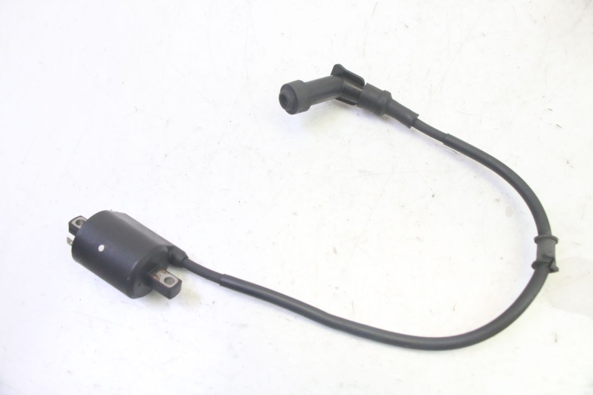 photo de IGNITION COIL ADIVA AD3 300 (2014 - 2020)