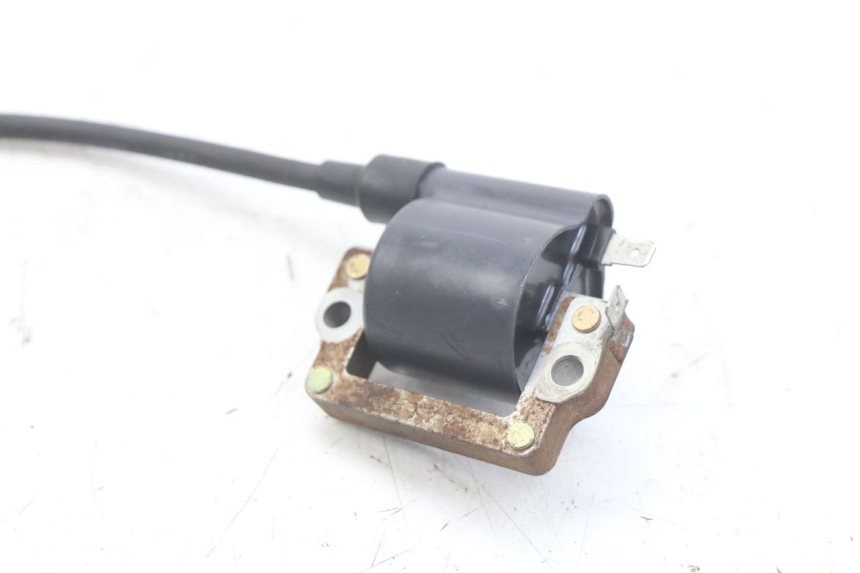 photo de COIL HONDA FES PANTHEON 2T 125 (1998 - 2002)