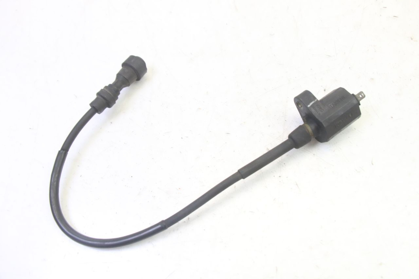 photo de IGNITION COIL KYMCO GRAND DINK 125 (2002 - 2007)