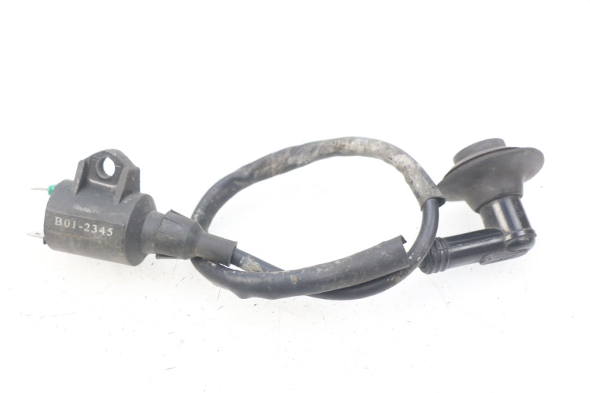 photo de COIL RIDE KALLIO 50 (2010 - 2019)