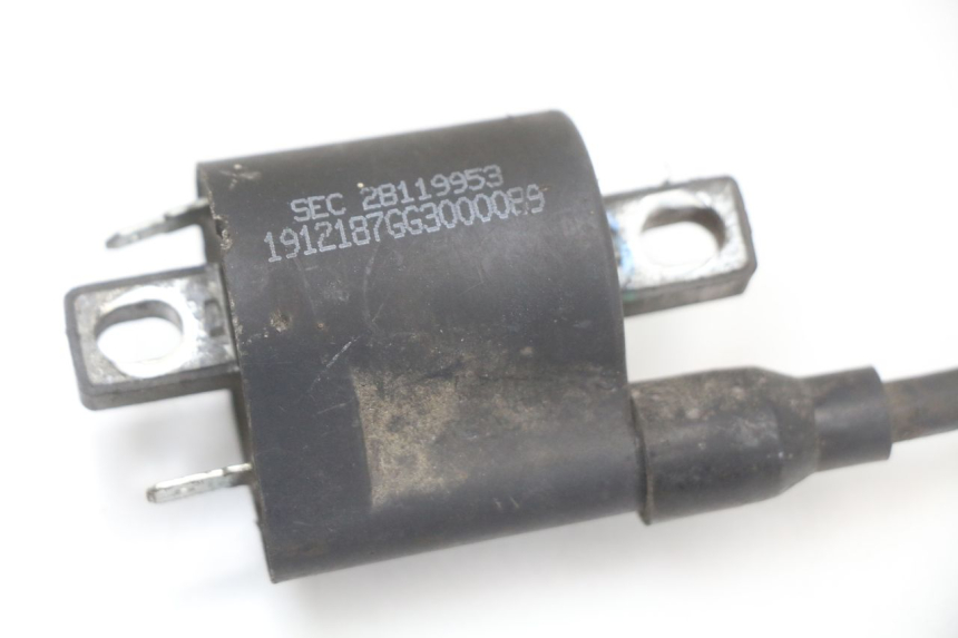 photo de IGNITION COIL LONGJIA EASY MAX 125 (2020 - 2024)