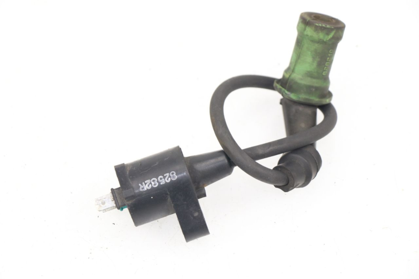 photo de COIL PIAGGIO X9 EVOLUTION 125 (2003 - 2007)