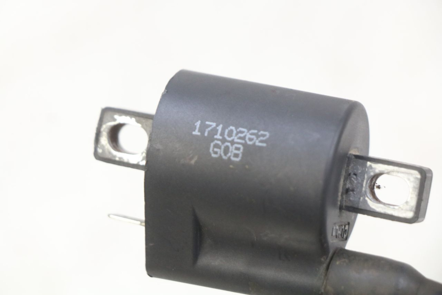 photo de COIL YAMASAKI RAPTOR 50 (2013 - 2018)