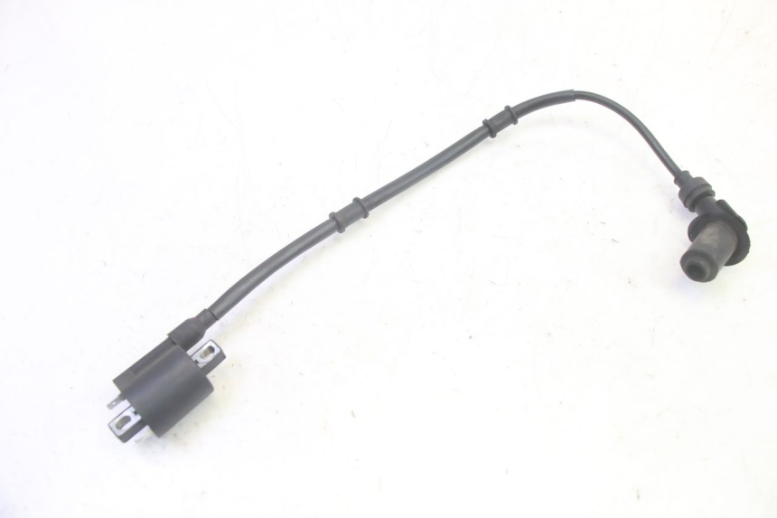 photo de COIL TNT MOTOR ROMA 10' 4T 50 (2019 - 2022) - Main view