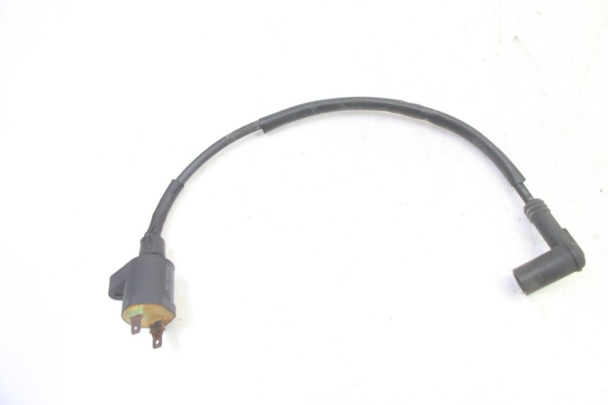 photo de IGNITION COIL HYTRACK S 150 (2003 - 2011)