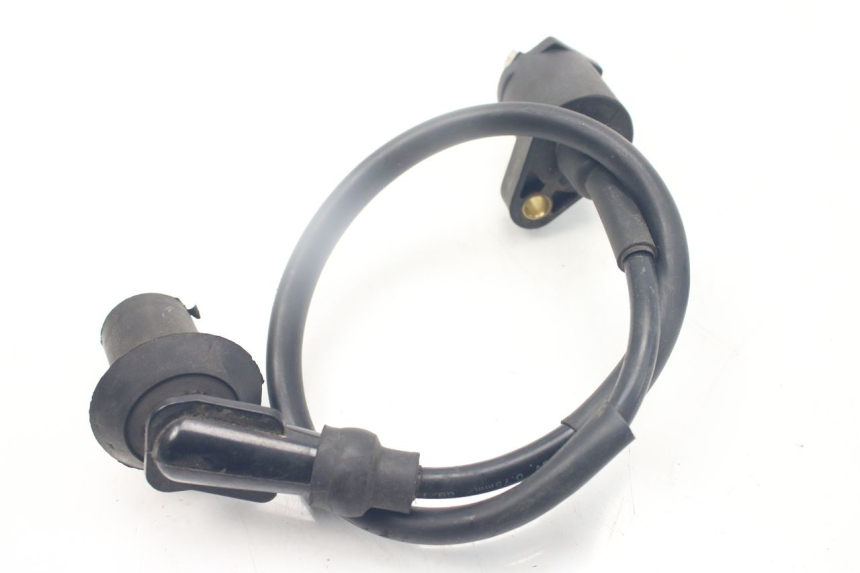 photo de COIL JM MOTORS SANTANA 50 (2014 - 2020)