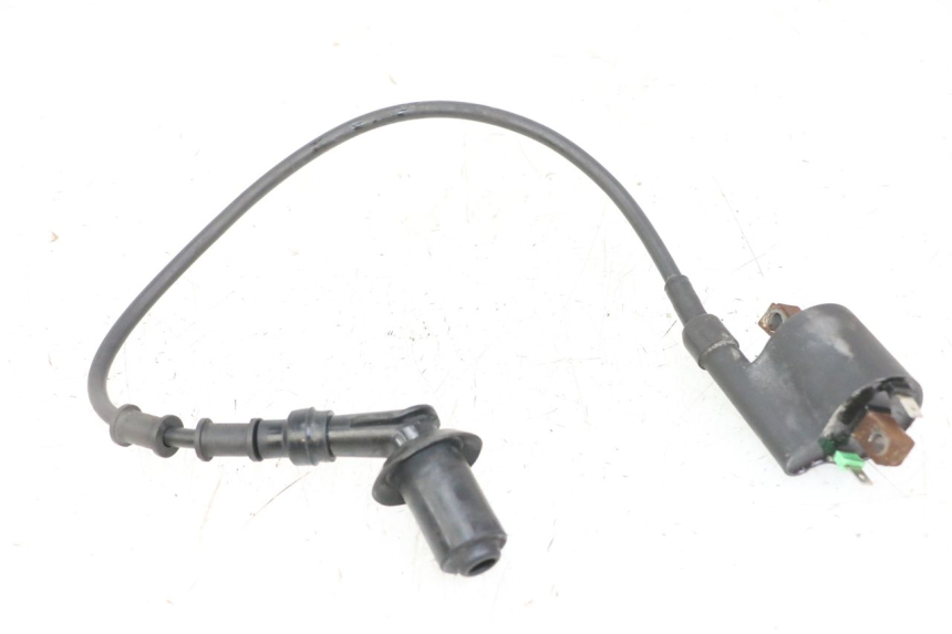 photo de IGNITION COIL PEUGEOT TWEET PRO CARGO 50 (2018 - 2020) - Main view