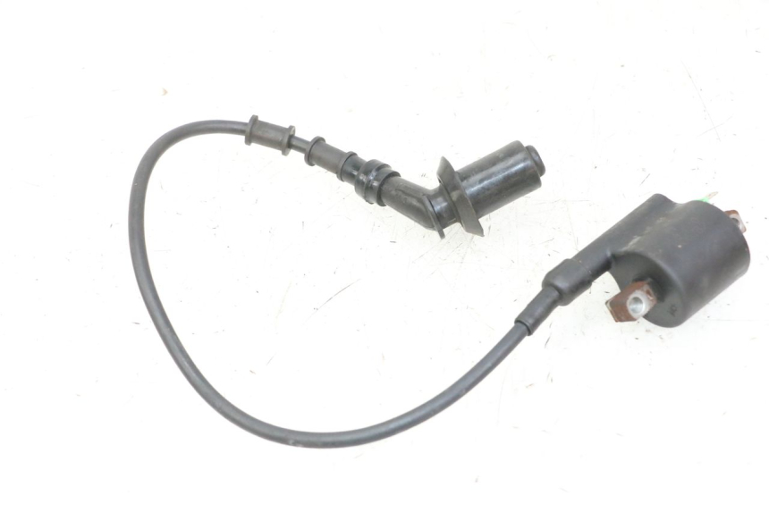 photo de IGNITION COIL PEUGEOT TWEET PRO CARGO 50 (2018 - 2020) - Alternative perspective