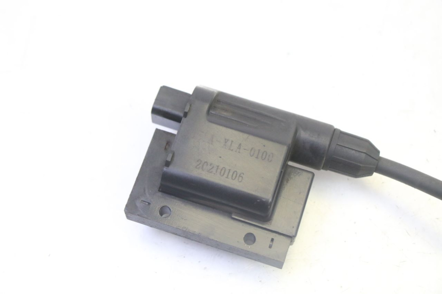 photo de IGNITION COIL PEUGEOT TWEET PRO CARGO 50 (2018 - 2020)