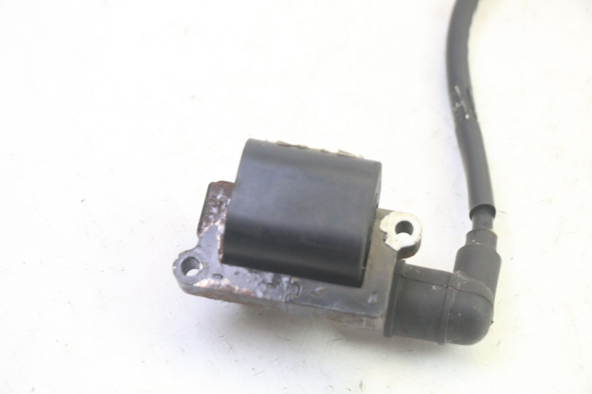 photo de COIL DAELIM VJ ROADWIN FI 125 (2008 - 2017) - Component detail