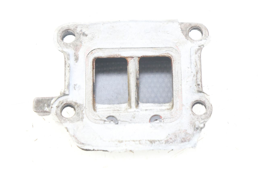 photo de REED VALVE ASSEMBLY MBK BOOSTER SPIRIT 50 (2004 - 2017)