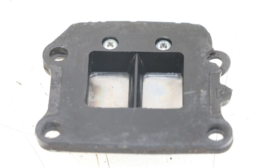 photo de REED VALVE ASSEMBLY MBK BOOSTER SPIRIT 50 (1999 - 2003)