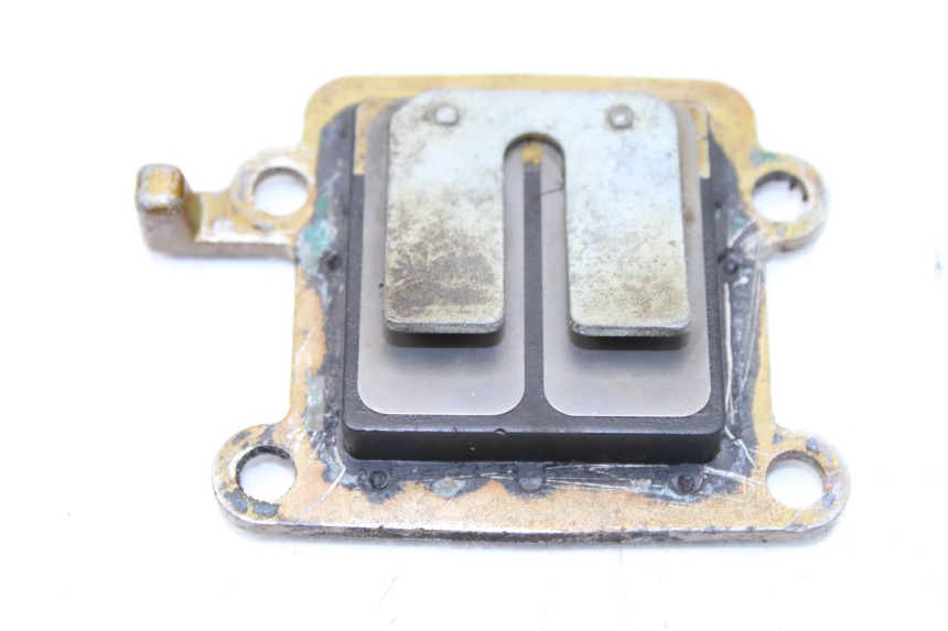 photo de REED VALVE ASSEMBLY YAMAHA BW'S 50 (1999 - 2003)
