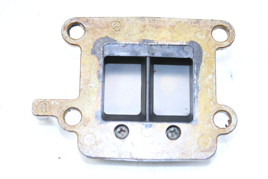 photo de REED VALVE ASSEMBLY YAMAHA BW'S 50 (1999 - 2003)