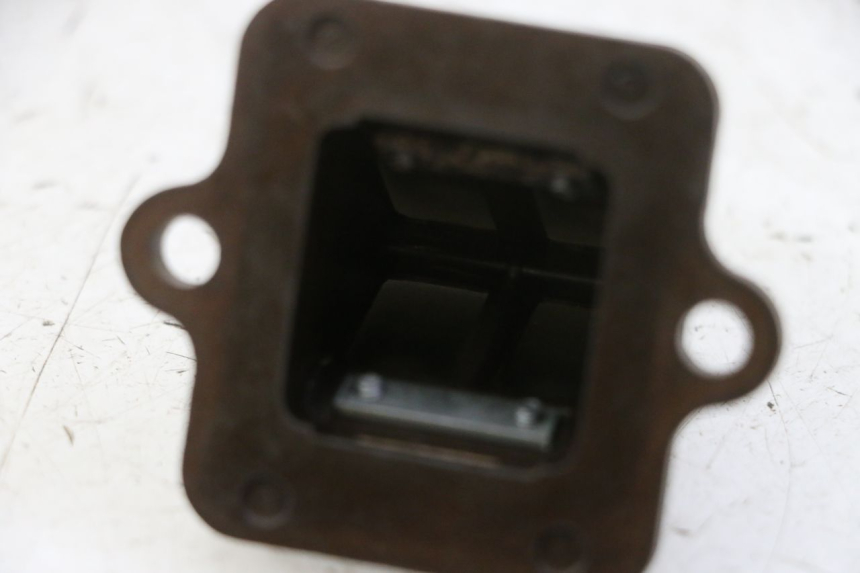 photo de REED VALVE ASSEMBLY PEUGEOT CITYSTAR 50 (2013 - 2017)