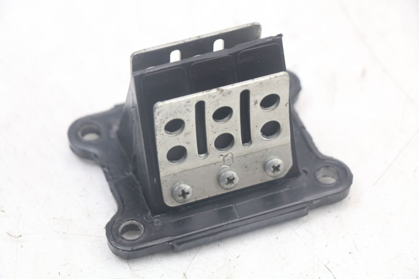 photo de REED VALVE ASSEMBLY DERBI SENDA SM X-TREME 50 (2006 - 2010)