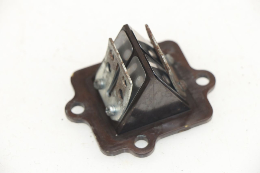 photo de REED VALVE ASSEMBLY KEEWAY F-ACT FACT 50 (2006 - 2011)