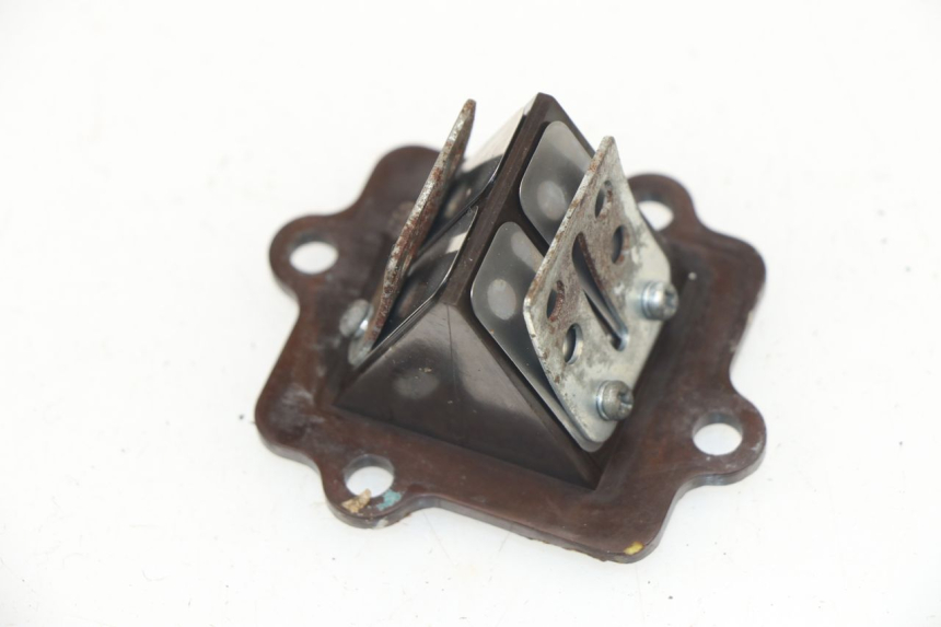 photo de REED VALVE ASSEMBLY KEEWAY F-ACT FACT 50 (2006 - 2011)