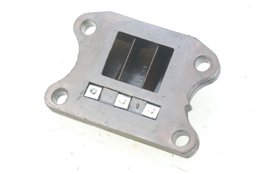 photo de REED VALVE ASSEMBLY PEUGEOT TKR TREKKER FURIOUS 50 (2005 - 2014)