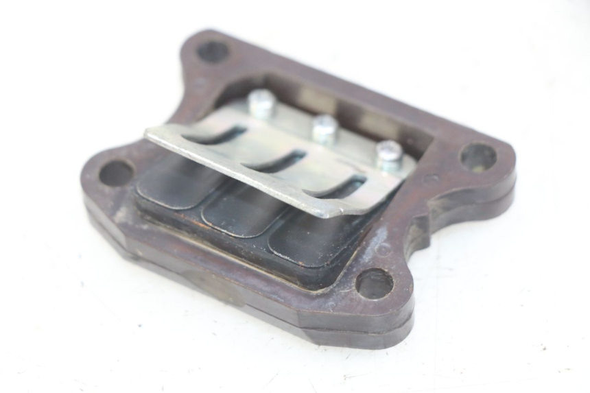 photo de REED VALVE ASSEMBLY PEUGEOT TKR TREKKER FURIOUS 50 (2005 - 2014)