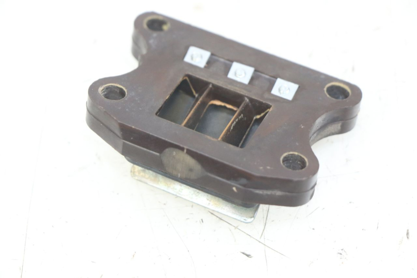 photo de REED VALVE ASSEMBLY PEUGEOT TKR TREKKER FURIOUS 50 (2005 - 2014)