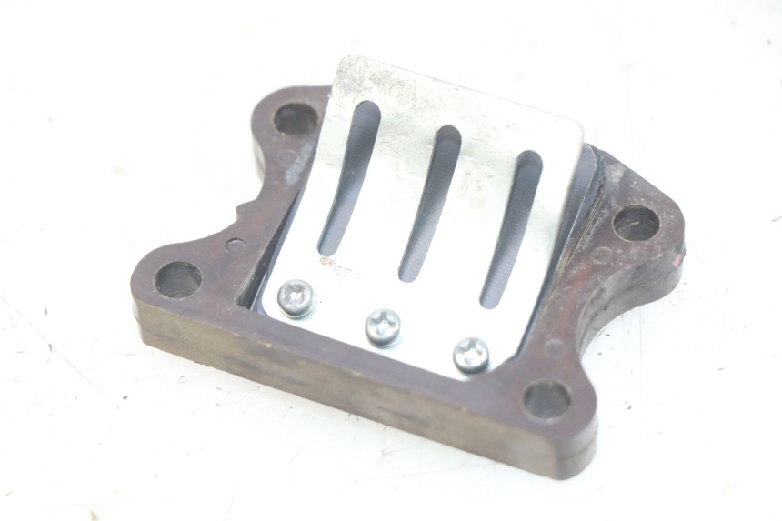 photo de REED VALVE ASSEMBLY PEUGEOT TKR TREKKER FURIOUS 50 (2005 - 2014)