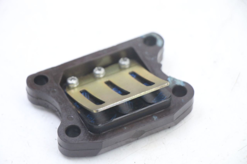 photo de REED VALVE ASSEMBLY PEUGEOT TKR TREKKER FURIOUS 50 (2005 - 2014)