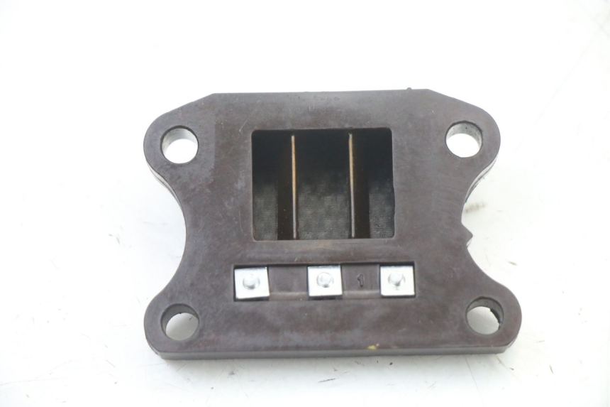 photo de REED VALVE ASSEMBLY PEUGEOT TKR TREKKER FURIOUS 50 (2005 - 2014)