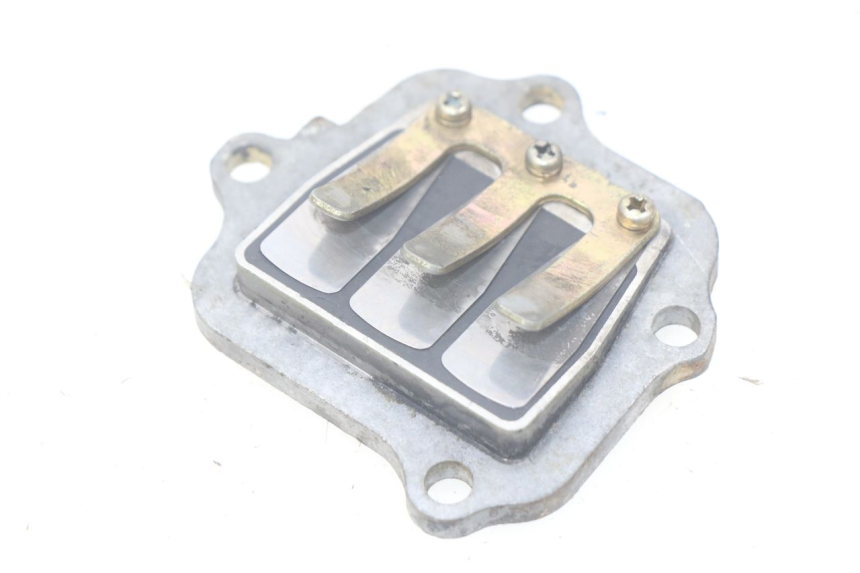 photo de REED VALVE ASSEMBLY YAMAHA PW 80 (1983 - 2014)