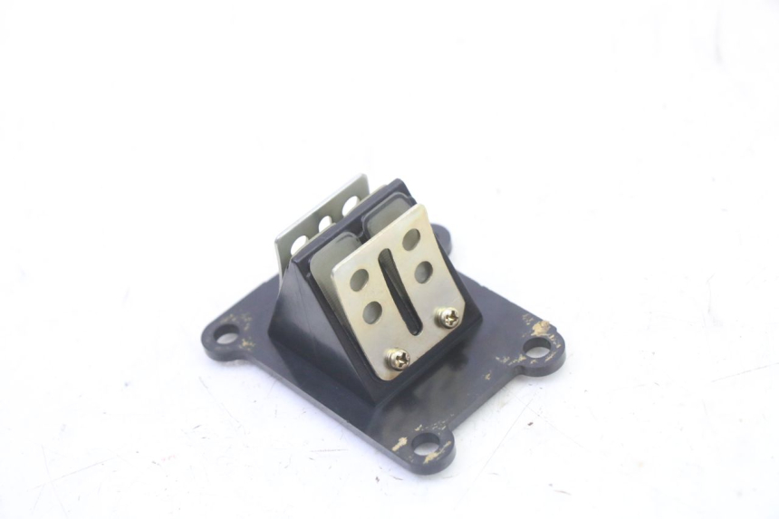 photo de REED VALVE PGO RODOSHOW 2T 50 (2003 - 2007)