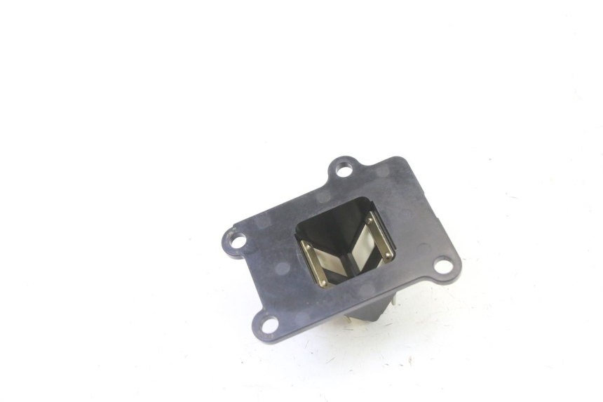 photo de REED VALVE PGO RODOSHOW 2T 50 (2003 - 2007)