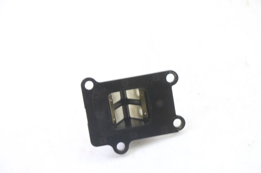 photo de REED VALVE PGO RODOSHOW 2T 50 (2003 - 2007)