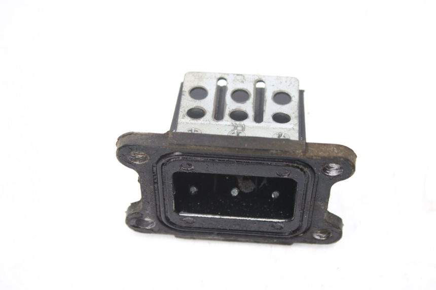photo de REED VALVE ASSEMBLY GILERA SMT SUPERMOTARD 50 (2009 - 2017)