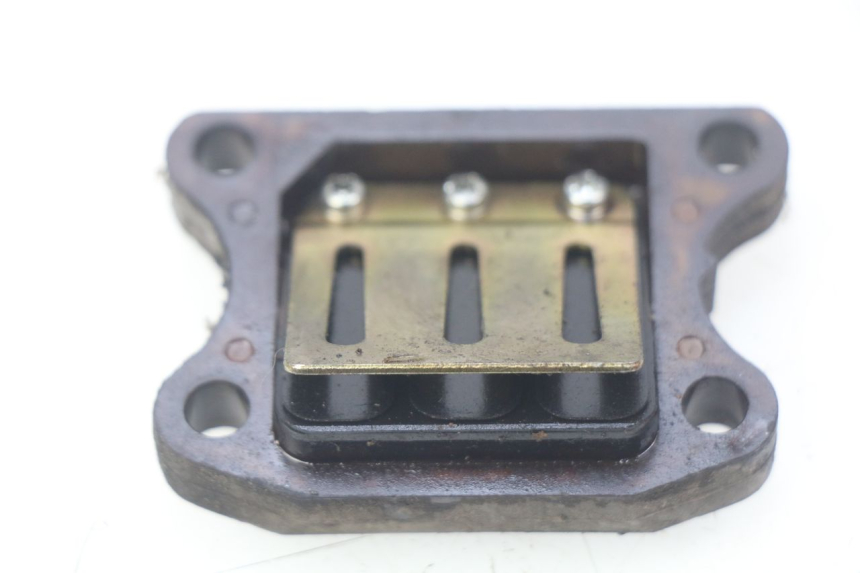photo de REED VALVE ASSEMBLY PEUGEOT TKR TREKKER FURIOUS 50 (2005 - 2014)