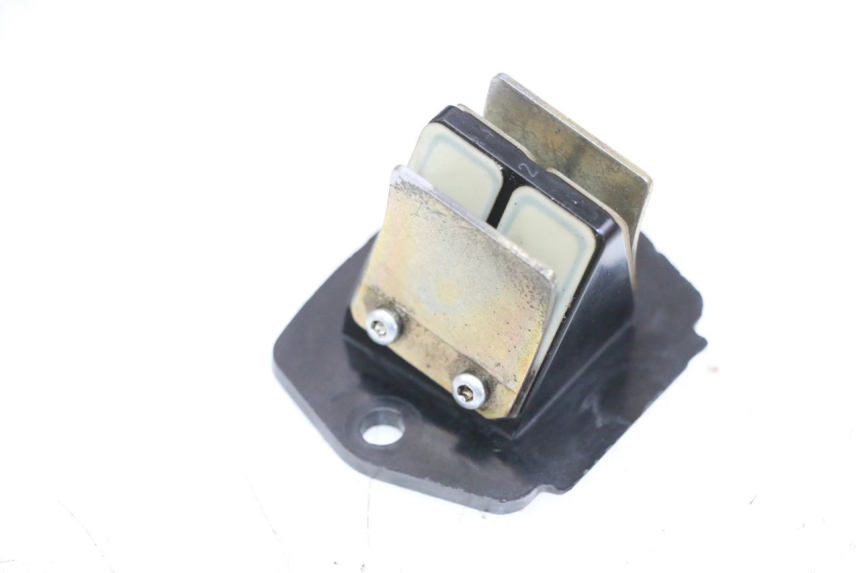 photo de REED VALVE ASSEMBLY PIAGGIO ZIP 2T 50 (2009 - 2019) - Main view