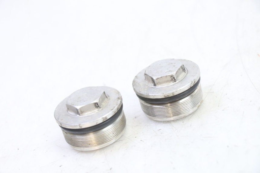 photo de FORK CAP TRIUMPH SPRINT 900 (1995 - 1998)