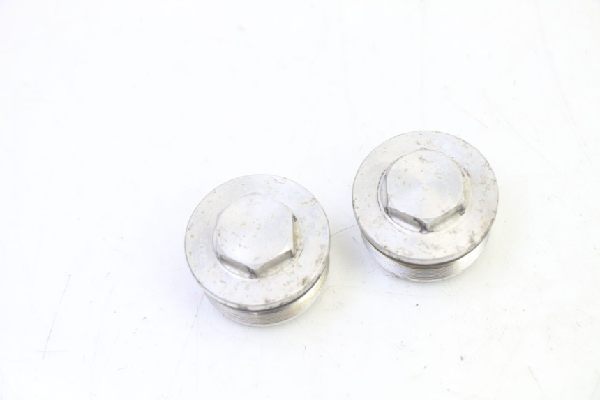 photo de FORK CAP TRIUMPH SPRINT 900 (1995 - 1998)