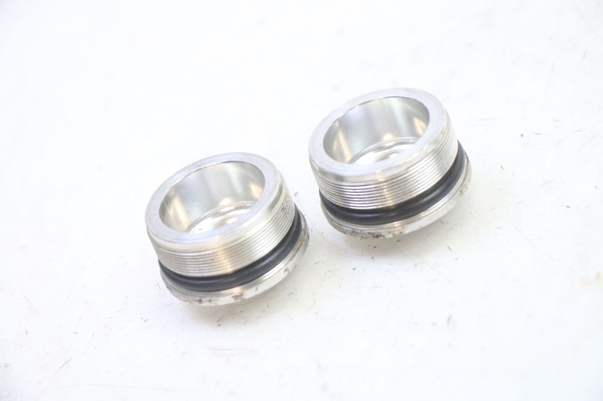 photo de FORK CAP TRIUMPH SPRINT 900 (1995 - 1998)