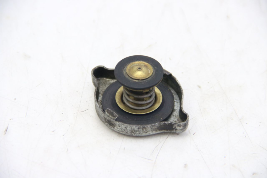 photo de RADIATOR CAP PEUGEOT XP6 50 (2006 - 2011)