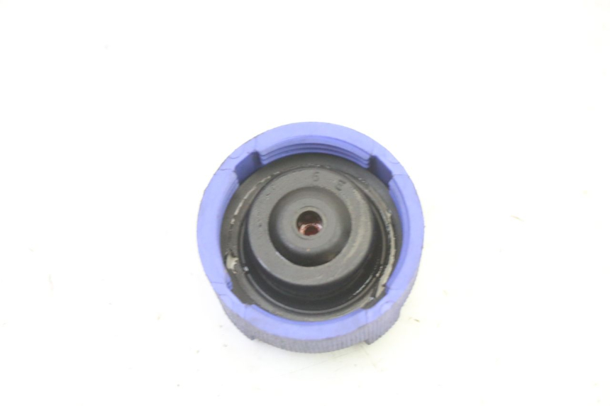 photo de EXPANSION BOTTLE CAP PEUGEOT SATELIS 250 (2006 - 2012)